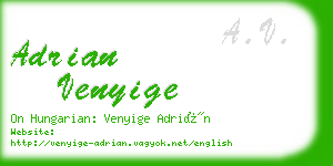 adrian venyige business card